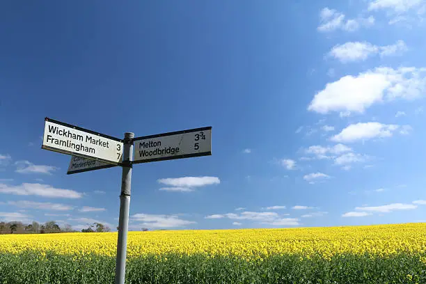 A rural Suffolk scene of a field of oilseed rape in full flower, captured in late April, with a signpost at crossroads pointing to the market towns of Framlingham and Woodbridge and other local villages.