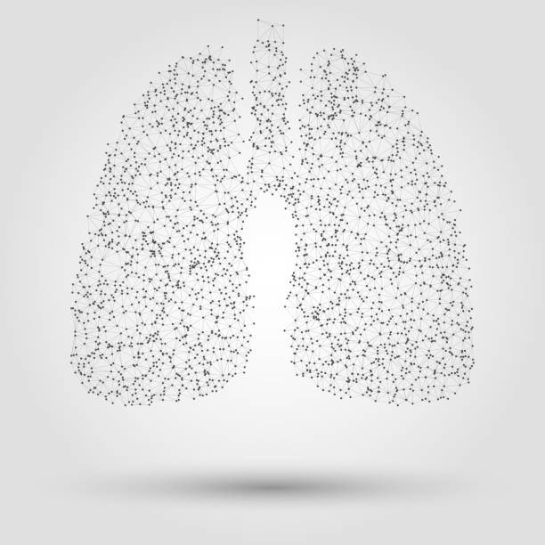 Abstract human lung from dots and lines Abstract human lung from dots and lines. Technology background. Human lung illustration. Design element in vector. bronchiole stock illustrations