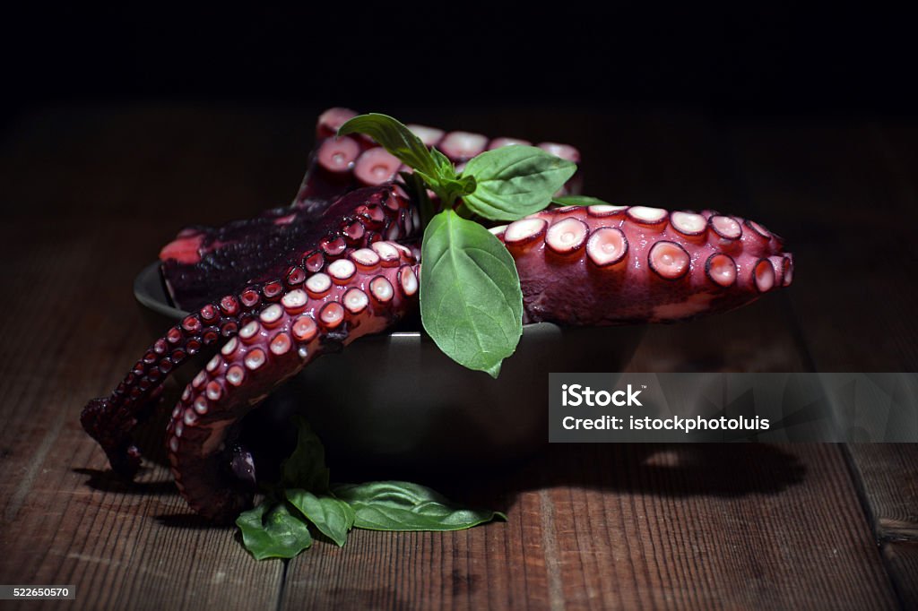 plate full of Octopus with basil leaves plate full of Octopus with basil leaves ready to be cooked Animal Stock Photo