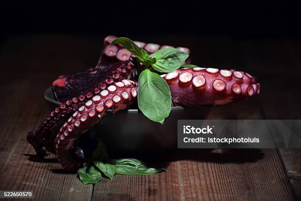 Plate Full Of Octopus With Basil Leaves Stock Photo - Download Image Now - Animal, Appetizer, Boiled