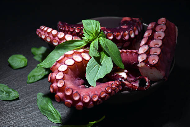 istock plate full of Octopus with basil leaves 522651072