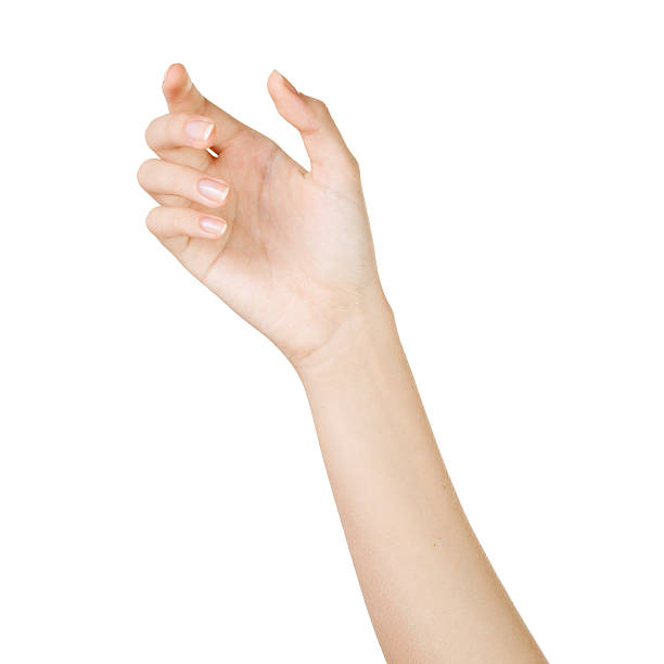 istock Beautiful woman hand holding isolated on white background 522651351