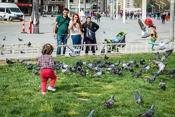 Turkish family at Taksim square in Istanbul, Turkey Istanbul, Turkey - April 08, 2016: Family spending their free time at Taksim square in Istanbul, Turkey pigeon family stock pictures, royalty-free photos & images