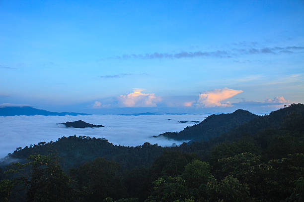 istock sea of fog with forests as foreground 522652169