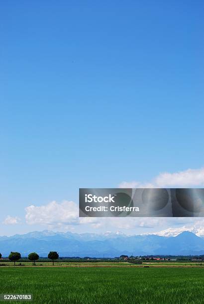 Farmland Piatto - Fotografie stock e altre immagini di Agricoltura - Agricoltura, Ambientazione esterna, Blu