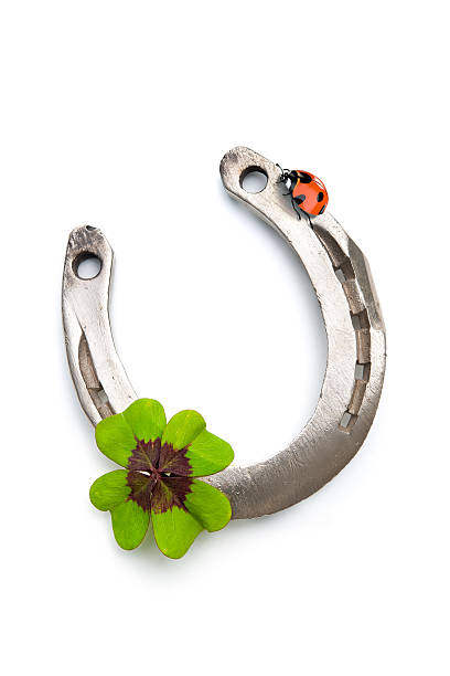 Horseshoes, clover with four leaf and ladybug on white background