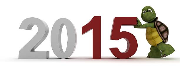 istock tortoise bringing in the new year 522671861