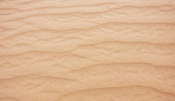 istock The grain of sand 522672923