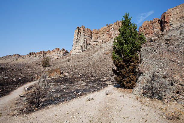 Clarno Unit of the John Day Fossil Beds National Monument in the desert hills of Oregon.