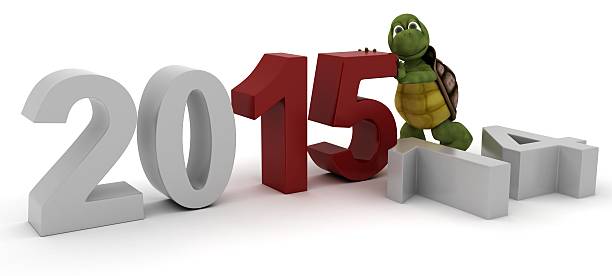 istock tortoise bringing in the new year 522676453