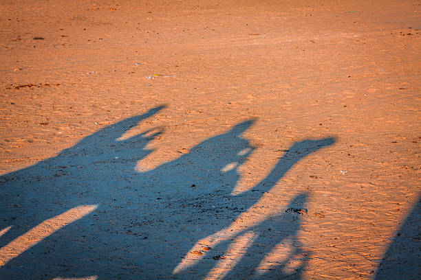 istock Tunisia. Somewhere on Sahara desert near Douz... 522677051