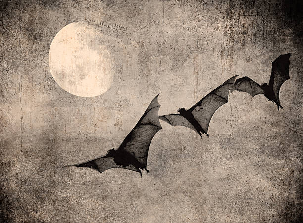 istock bats in the dark cloudy sky, perfect halloween background 522677407