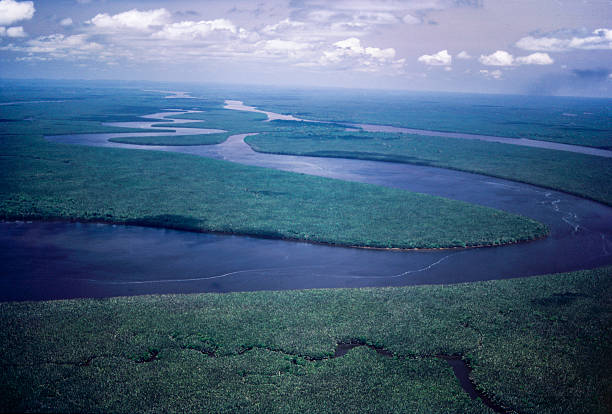 il delta mahakam a kalimantan orientale. - river aerial view delta rainforest foto e immagini stock