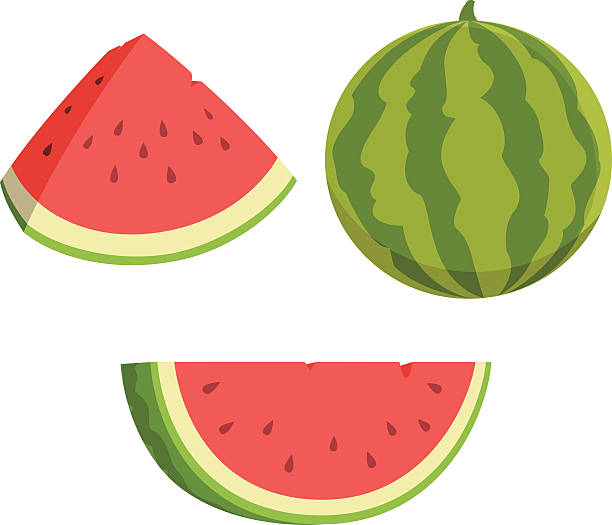 ilustraciones, imágenes clip art, dibujos animados e iconos de stock de sandía de historieta - watermelon