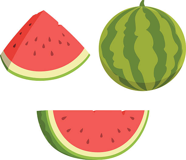 Watermelon Cartoon Vector cartoon of watermelons watermelon stock illustrations