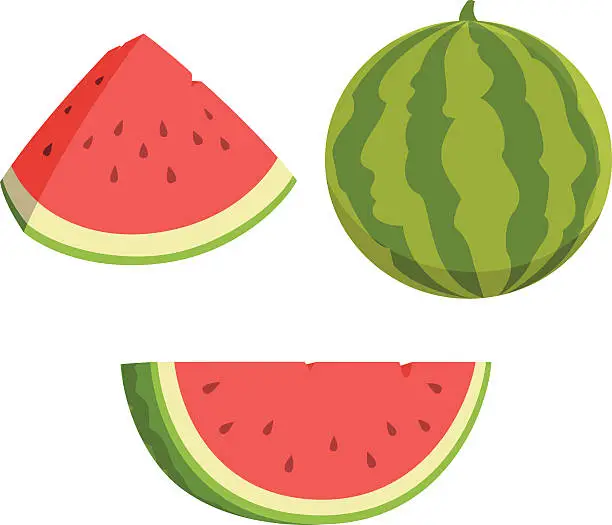 Vector illustration of Watermelon Cartoon