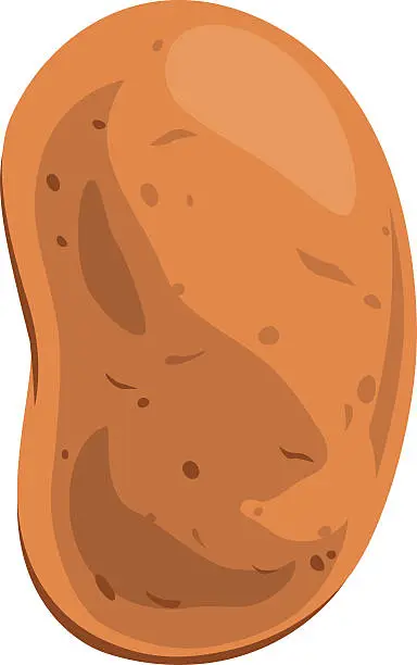 Vector illustration of Potato Cartoon