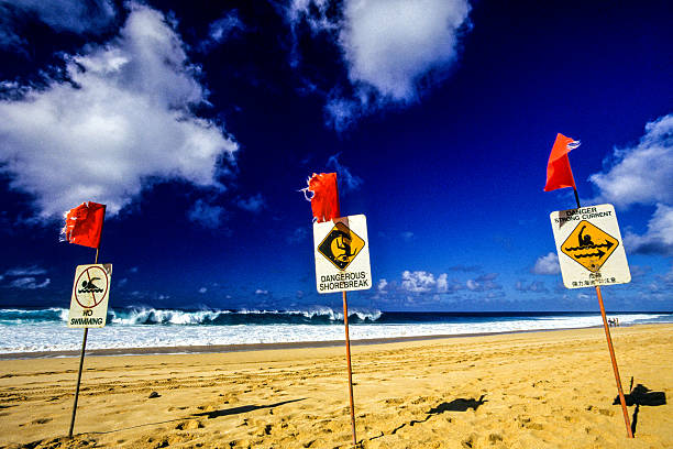 istock Dangerous surf on the North Shore 522695319