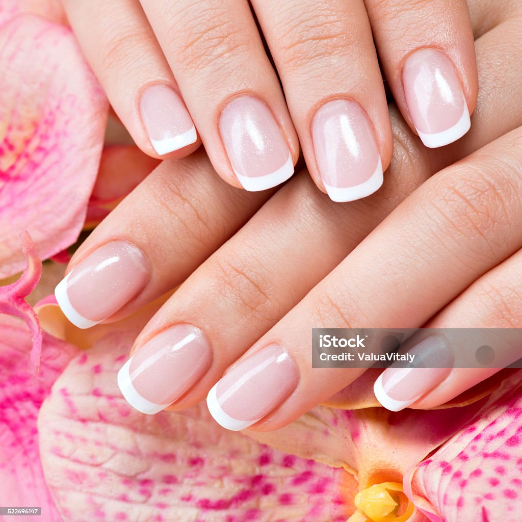 Beautiful woman's nails with french manicure Beautiful woman's nails with beautiful french manicure Adult Stock Photo