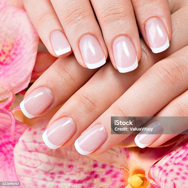Beautiful Womans Nails With French Manicure Stock Photo - Download Image Now - Adult, Beautiful People, Beautiful Woman