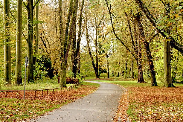 istock walking path in autumn season 522696427