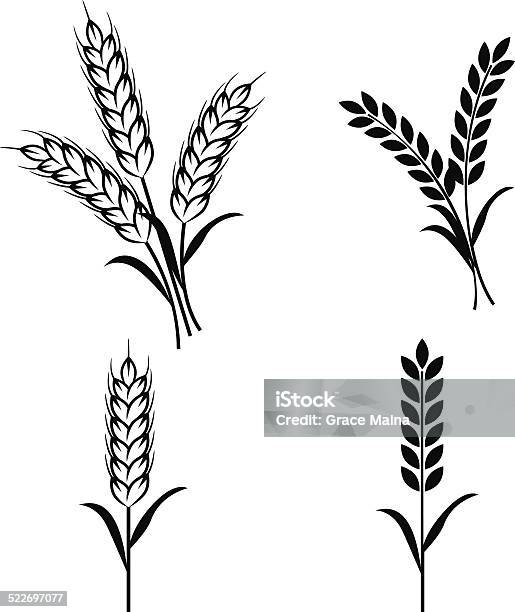 Wheat Plants Vector Stock Illustration - Download Image Now - Wheat, Cereal Plant, Illustration