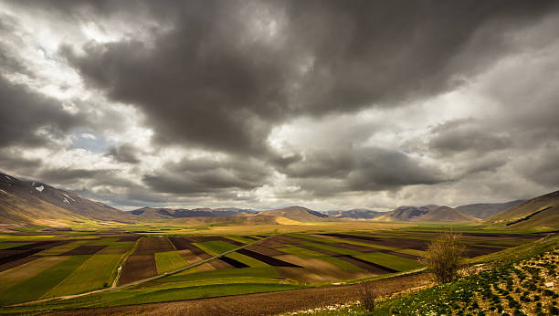 istock view of the fields of Italy 522711331