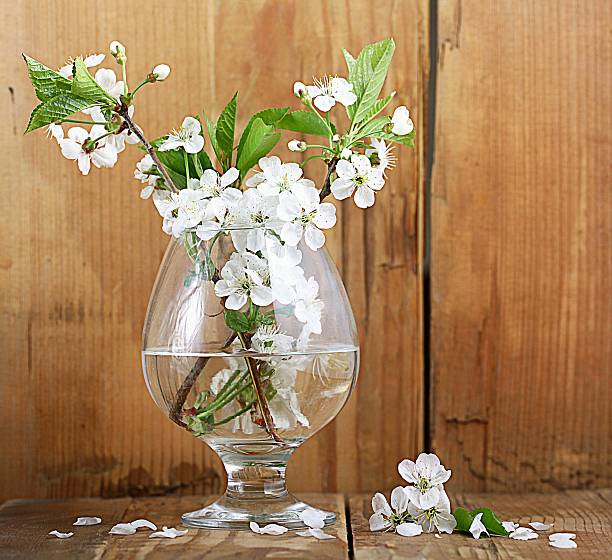istock cherry flowers and twigs on a wooden background 522711569