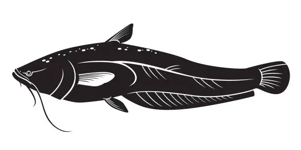 Vector illustration of catfish vector