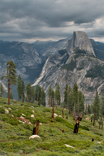 Wild landscape in Yosemite in summer