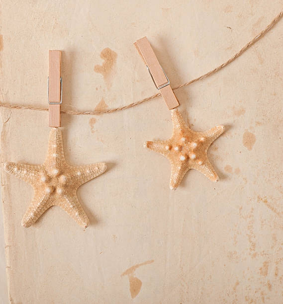 istock starfish and rope on old paper background 522714093