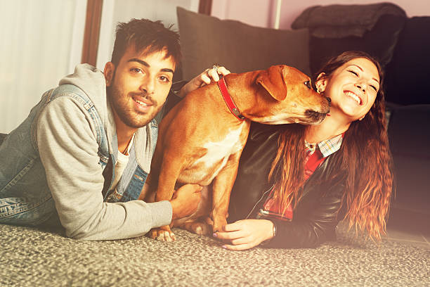 istock Mixed race couple playing with puppy home. 522714757