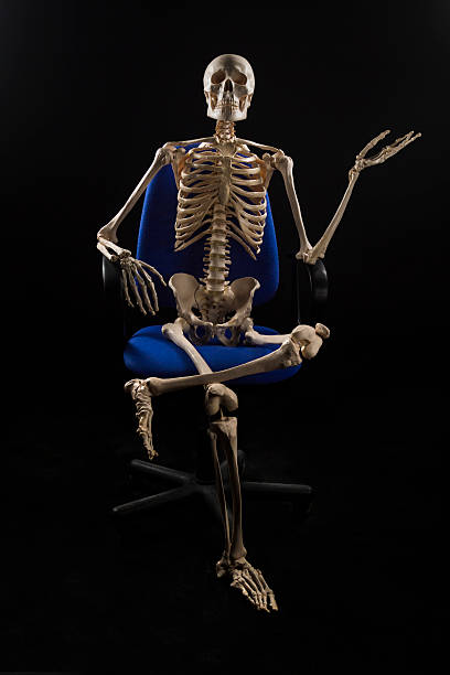 Human skeletal sitting at chair, pointing with hand stock photo