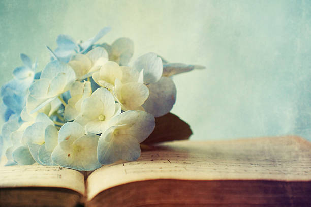 istock Hortensia flower on the open book 522716781