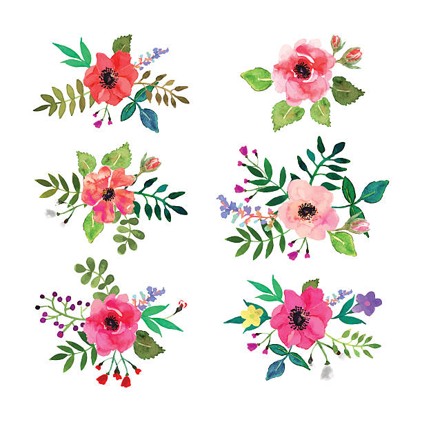 ilustrações, clipart, desenhos animados e ícones de conjunto de vetor de flores. aquarela floral coleção com folhas e flores. - parte de flor