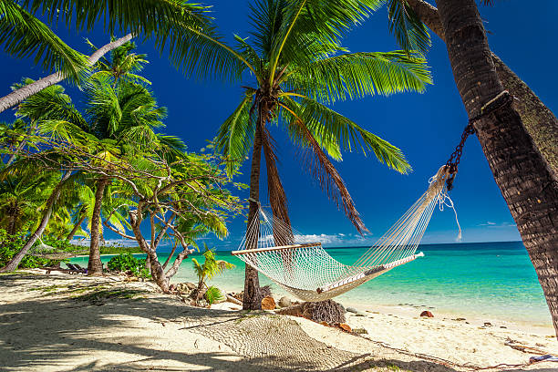 Empty hammock in the shade of palm trees,  Fiji Empty hammock in the shade of palm trees on tropical Fiji Islands pacific islands photos stock pictures, royalty-free photos & images