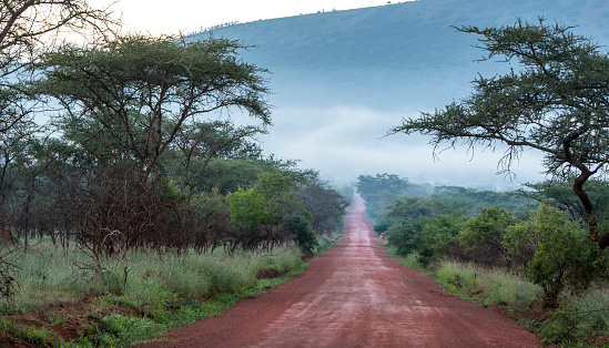 An upaved road in rural Congo, province of Equateur.