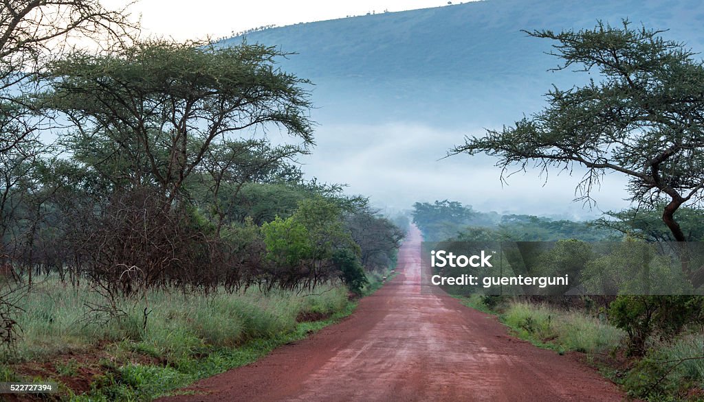 Unpaved road in Rural Africa, DR Congo An upaved road in rural Congo, province of Equateur. Democratic Republic of the Congo Stock Photo