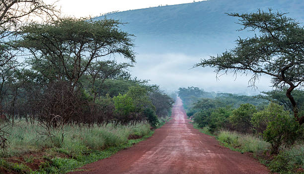 Unpaved road in Rural Africa, DR Congo An upaved road in rural Congo, province of Equateur. democratic republic of the congo stock pictures, royalty-free photos & images