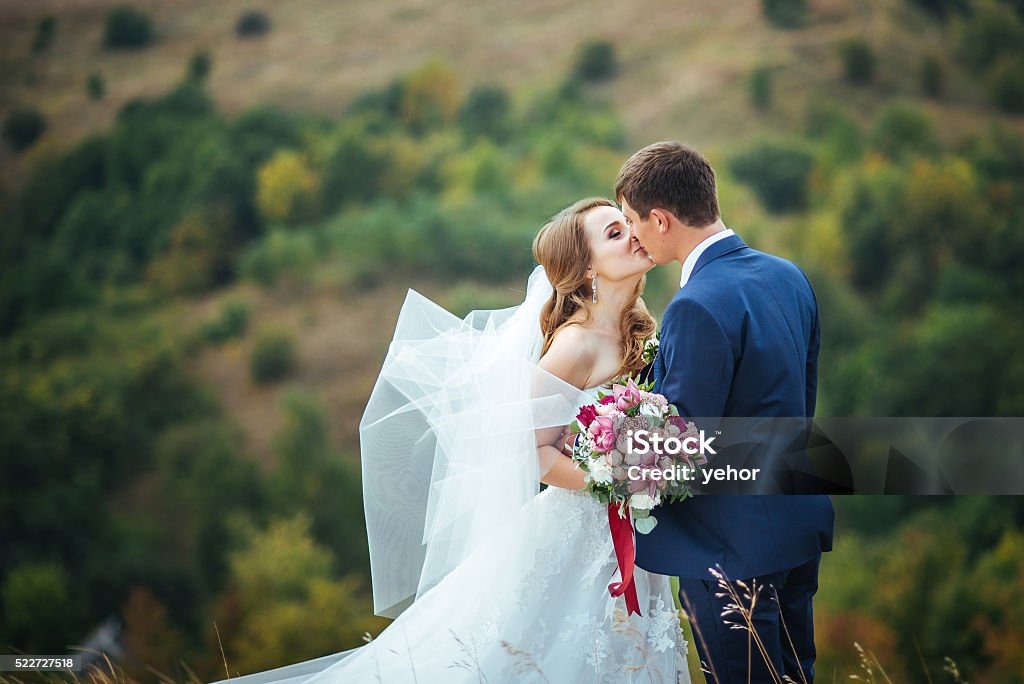 Wedding walk on nature Beautiful Wedding walk on nature Ukraine SumyBeautiful Wedding walk on nature Ukraine Sumy Bride Stock Photo