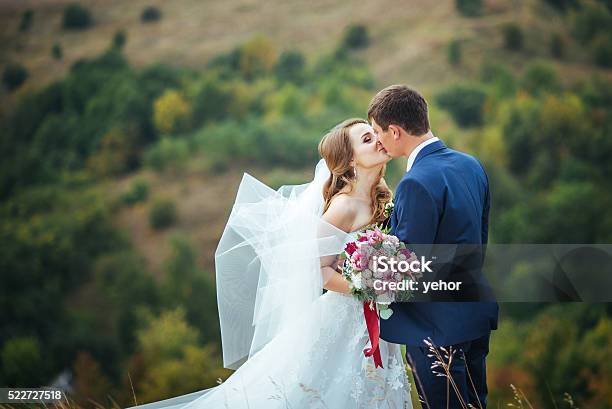 Wedding Walk On Nature Stock Photo - Download Image Now - Bride, Groom - Human Role, Adult