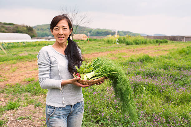 istock Farmer stood outside holding a basket of vegetables 522728894