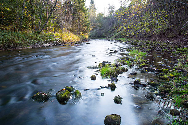 istock mountain river with rocks and sandstones 522733465