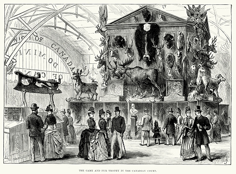 Vintage engraving of the Game and Fur Trophy in the Canadian Court of the Colonial and Indian Exhibition of 1886. The Colonial and Indian Exhibition of 1886 was a very substantial exhibition held in South Kensington in London, and intended to stimulate commerce and strengthen the bonds of union now existing in every portion of her Majesty's Empire. The exhibition was opened by Queen Victoria, and when it closed had received 5.5 million visitors. London Illustrated News, 1886