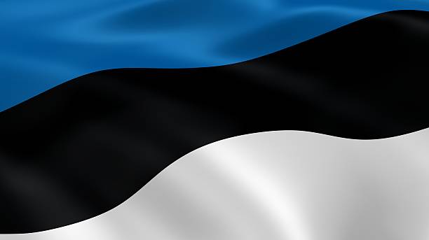 istock Estonian flag in the wind 522735561