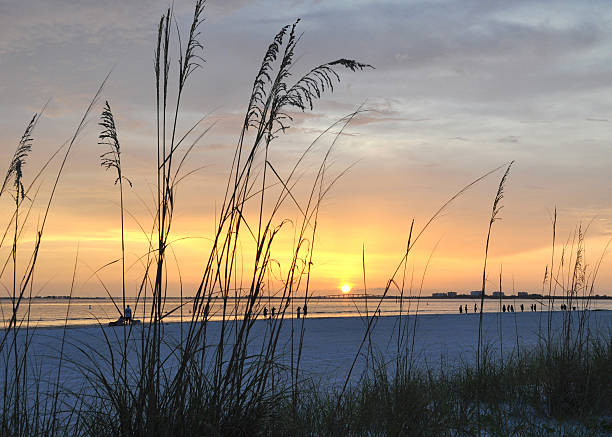 pôr do sol na praia de fort myers, flórida - fort myers - fotografias e filmes do acervo