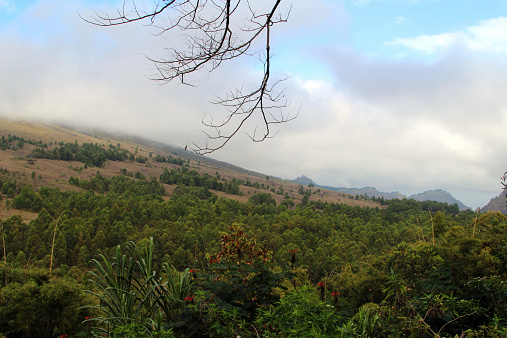 Indonesia: Mountain Top cubiertos con nube photo