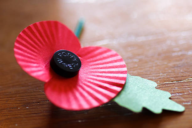 istock Single paper remembrance sunday poppy 522739245
