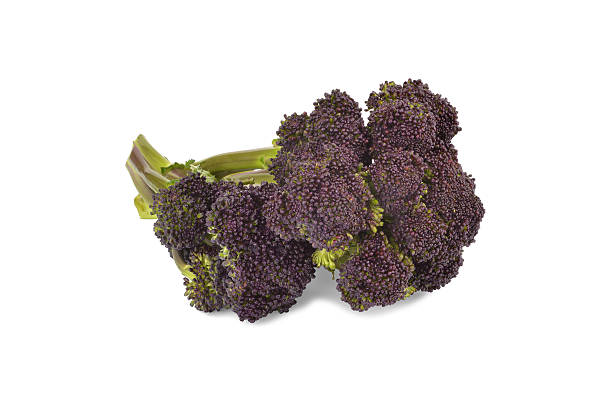istock Purple Sprouting Broccoli - Stock Photos 522740415