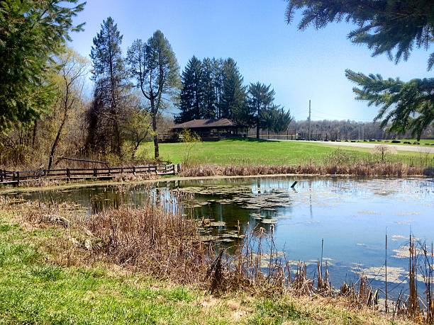 istock Pond and bridge in a park with building 522741994